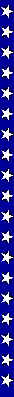 starbar.gif (1814 bytes)